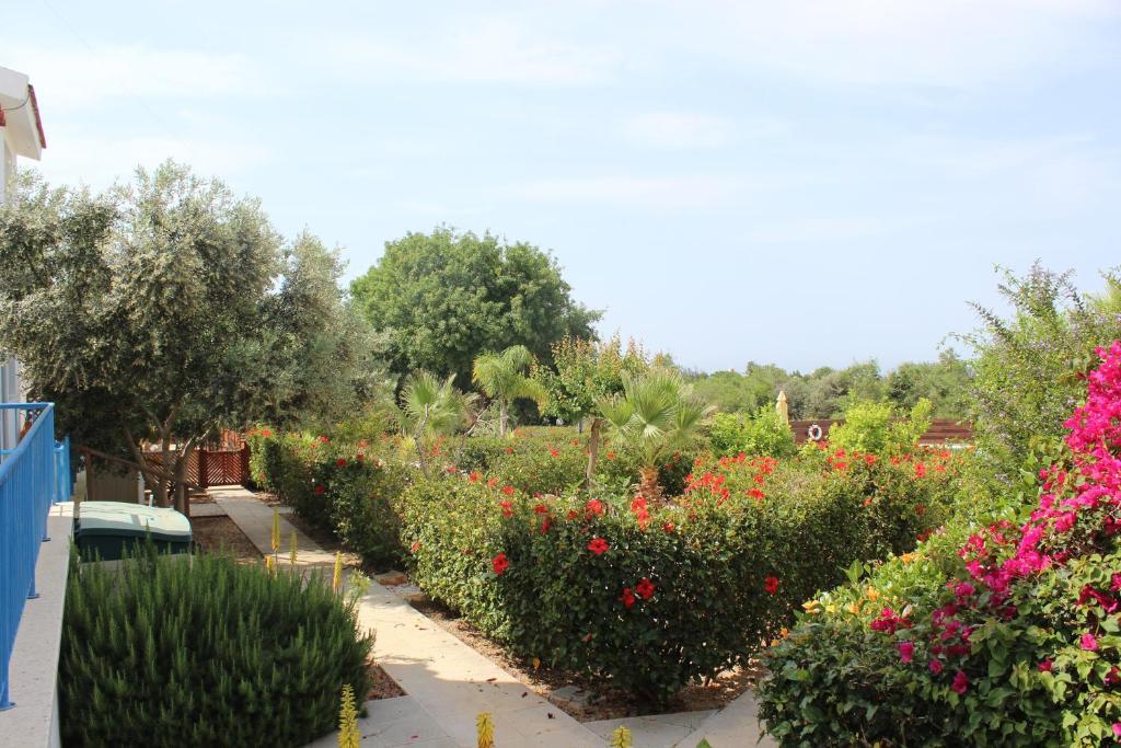 Kavalla Forest Villas Πάφος Εξωτερικό φωτογραφία